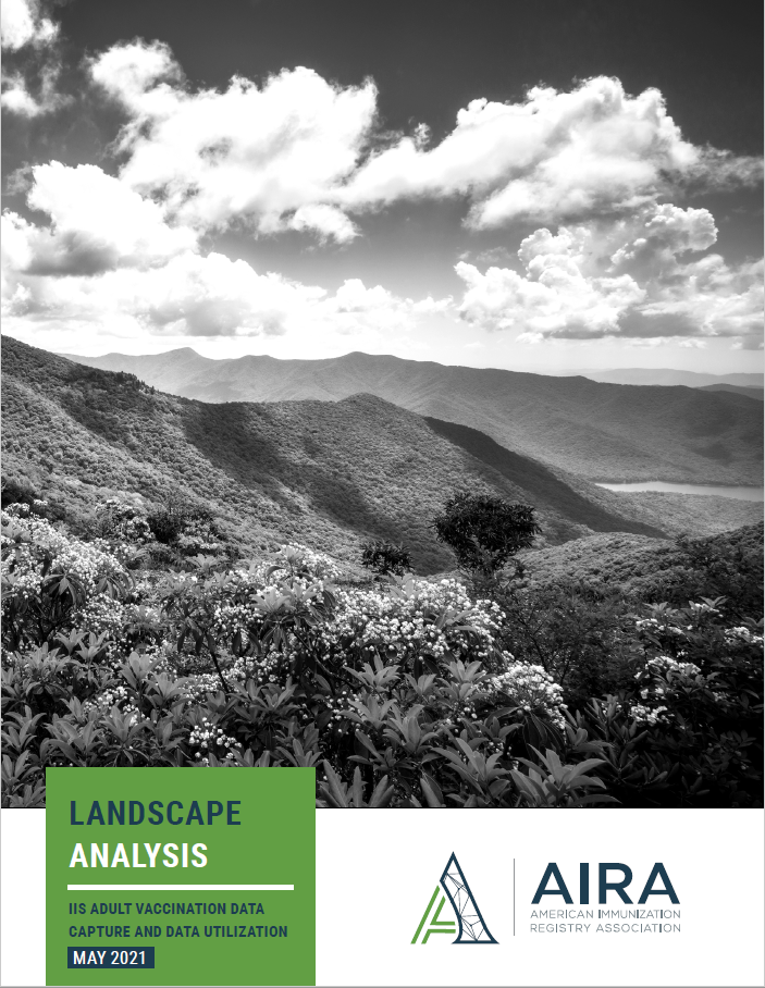 Landscape Analysis Report: Capture and Utilization of Adult Vaccination Data in IIS