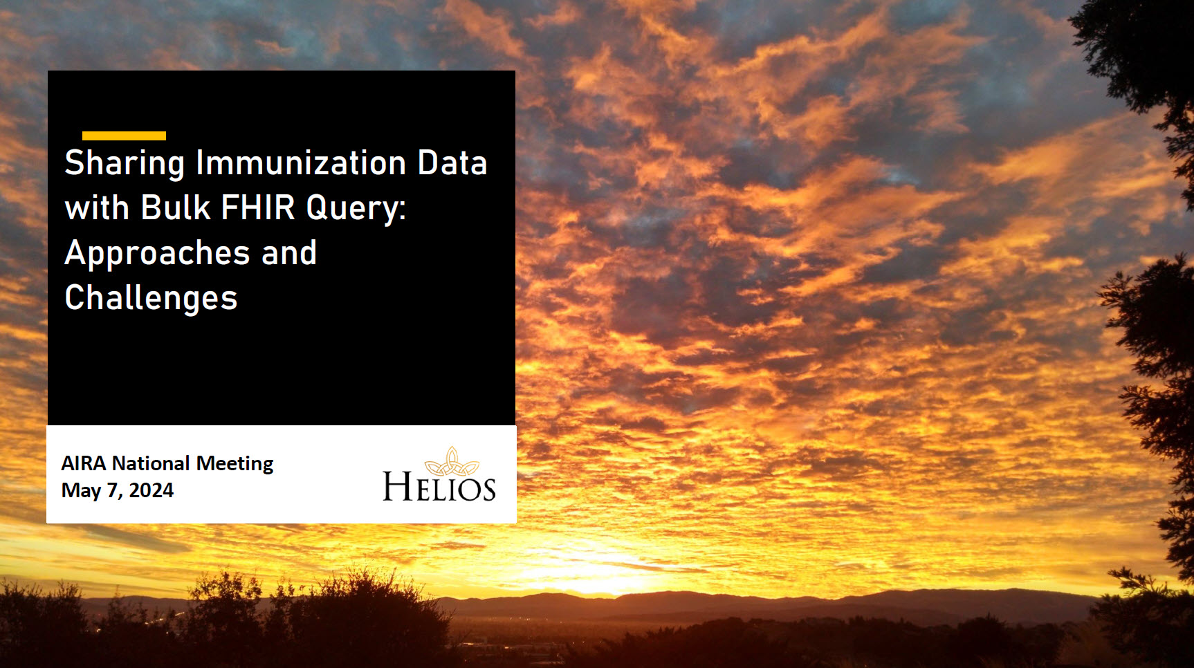 Sharing Immunization Data with Bulk FHIR Query: Approaches and Challenges